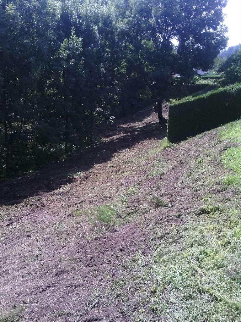 Terrain en pente débroussaillé