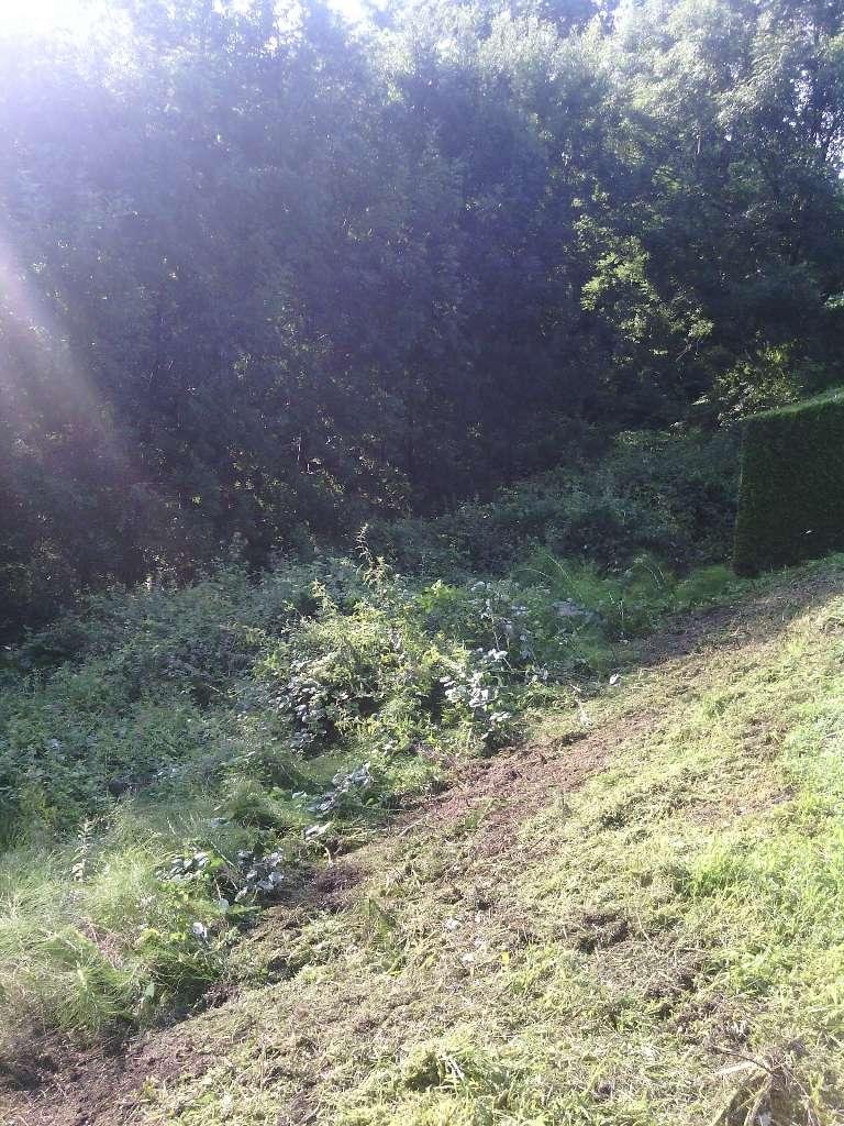 Défrichage de terrain en pente