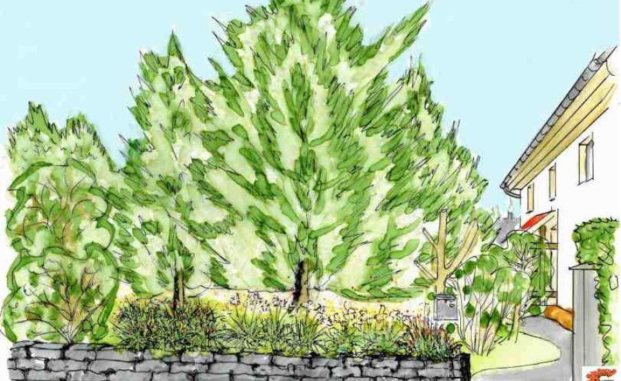 Gartengestaltung Zwickauer und Chemnitzer Land Tirschmann Garten