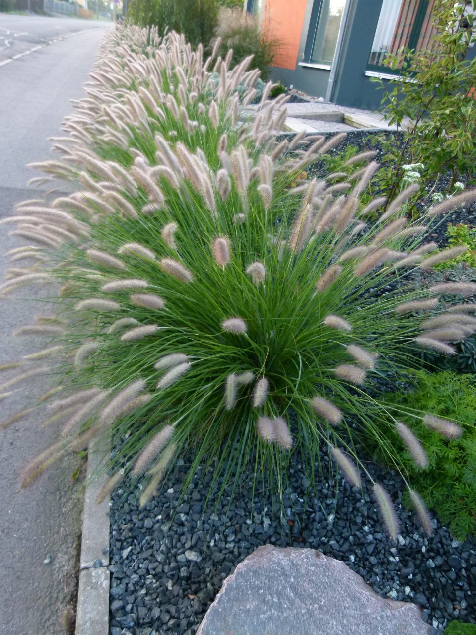 Gartengestaltung Zwickauer und Chemnitzer Land Tirschmann Garten