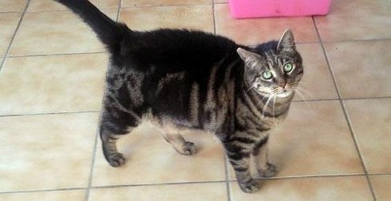 Beaucoup d'attention et de gentillesse pour nos pensionnaires Nouzilly