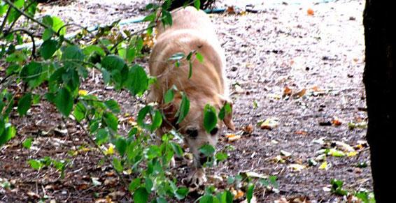 Installations en conformité avec la protection de l'environnement