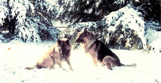 Ouvert toute l'année