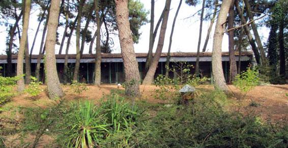 Grand parc de détente en liberté pour les chiens