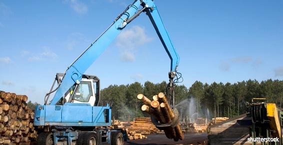 Pour vos futurs projets en bois