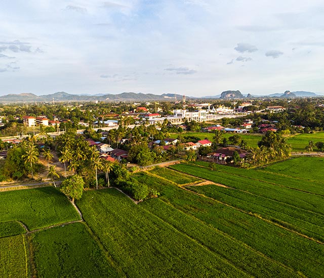 המגזר החקלאי ואגודות שיתופיות