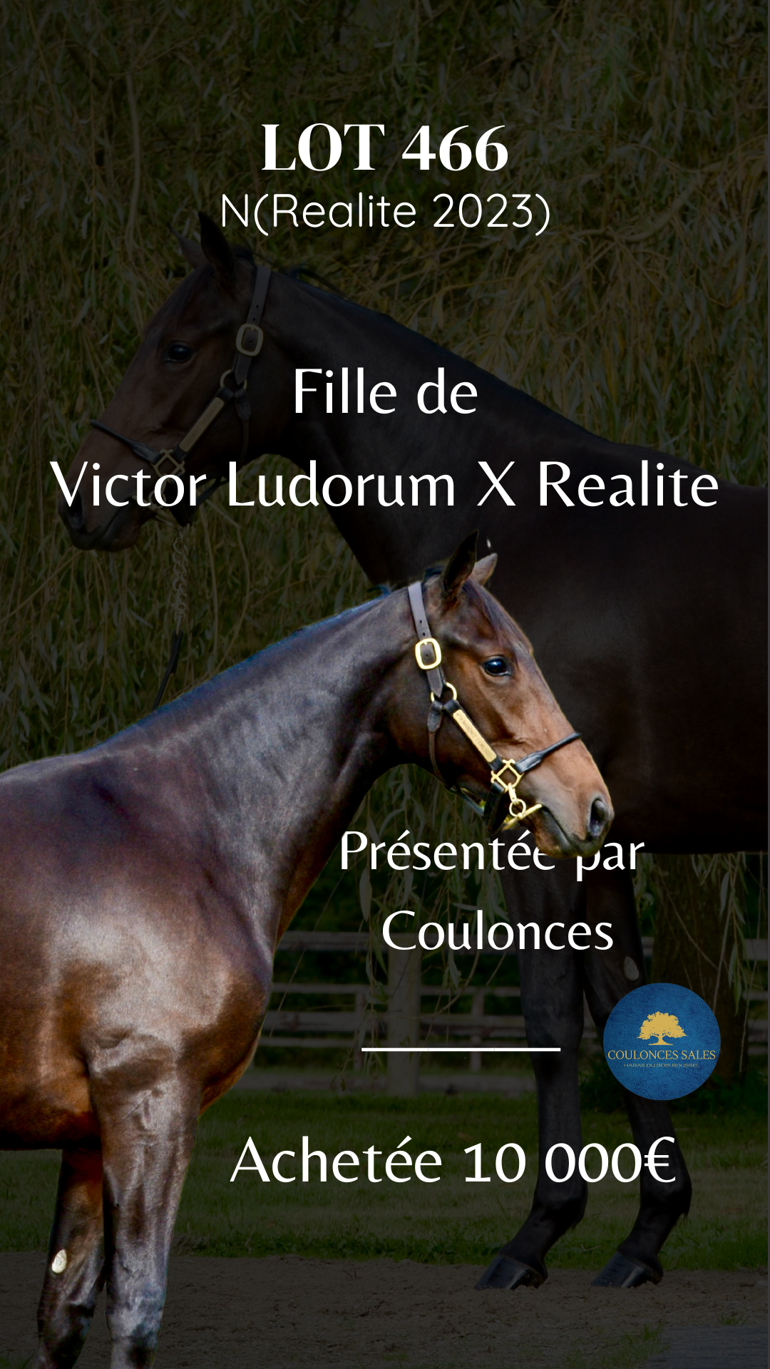 Lot 466, Fille de Victor Ludorium et de Realite