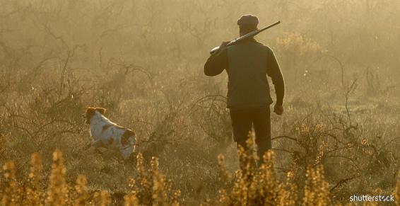 M. Mayet Patrick, magasin d'armurerie à Matha, près de Saintes