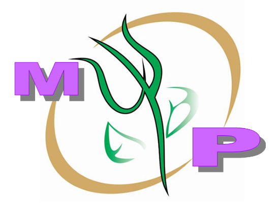 logotipo cabecera