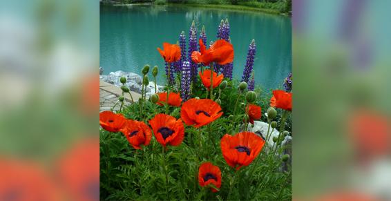 Membre de Psy en Mouvement