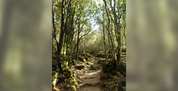 Nice - Psychothérapie