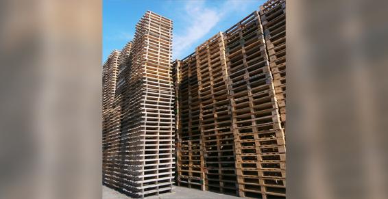 SARL ROCHETEAU BRETAGNE