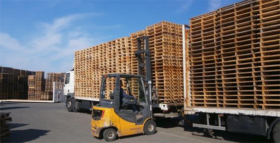 SARL ROCHETEAU PLERIN