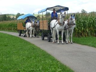 Gesellschaftsfahrten