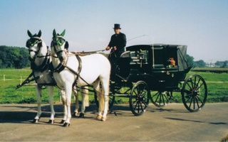 Kutschenfahrten