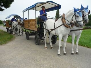 Gesellschaftsfahrten