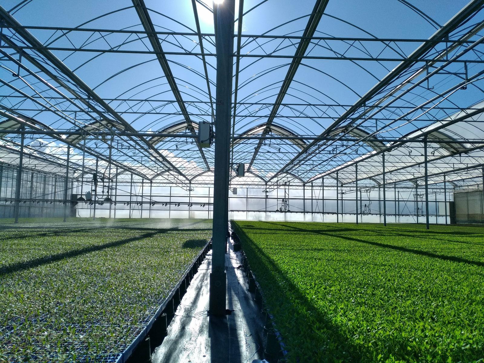 Chariot d'arrosage en action