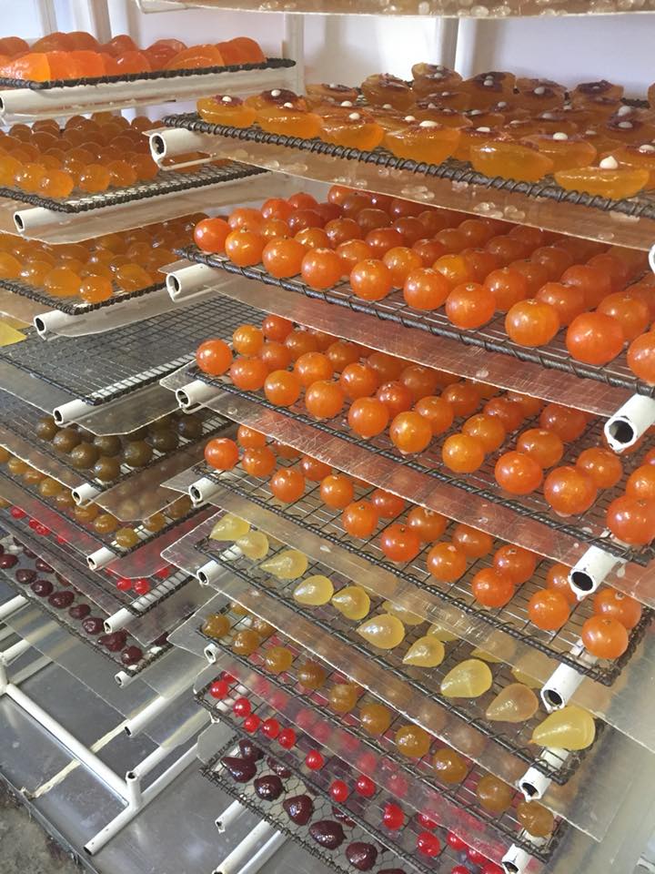 Fabrique fruits confits artisanaux de Provence Vaucluse