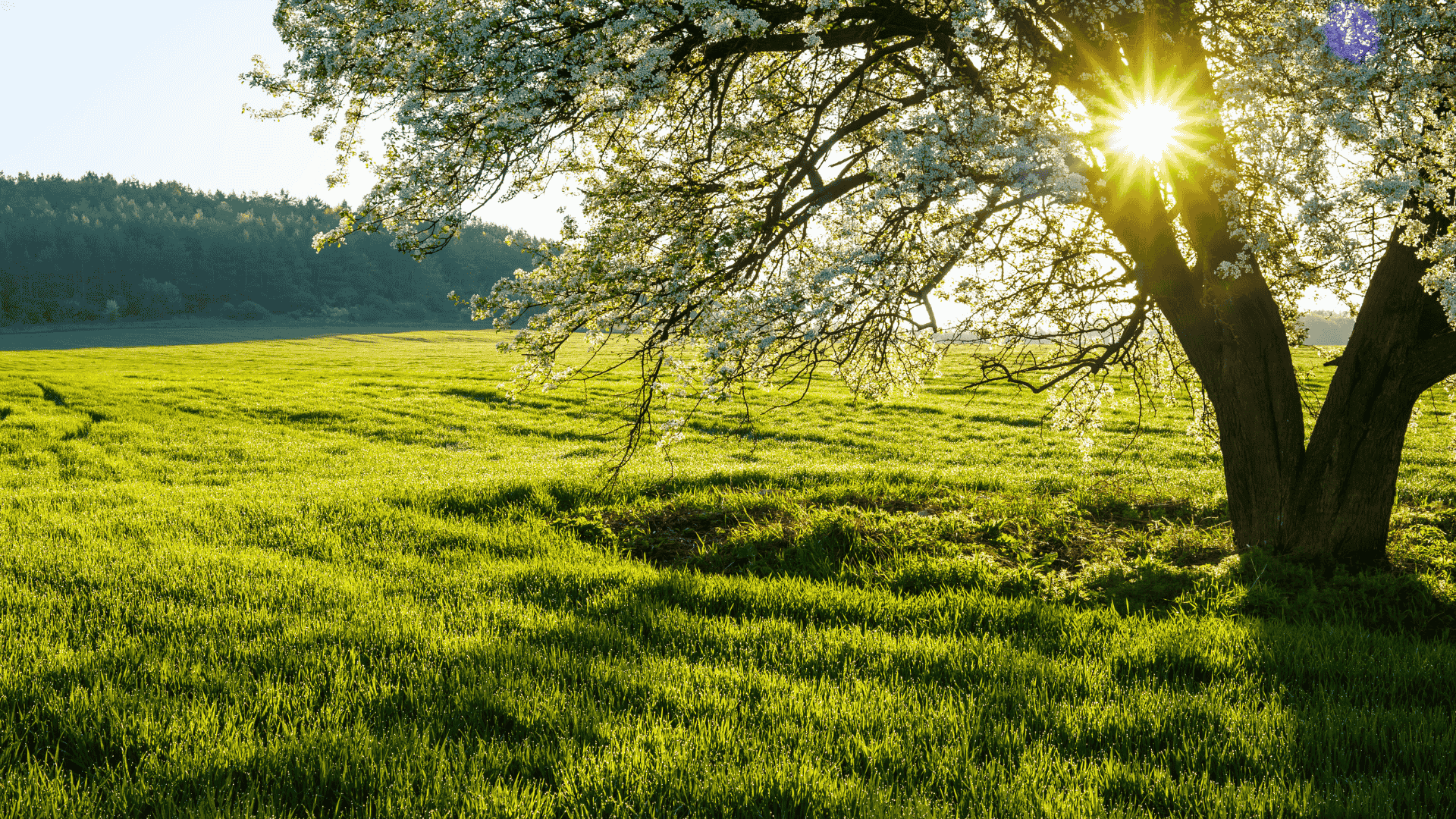 Deadwood South Dakota Weather Overview