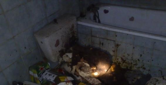 Nettoyage des zones sensibles - Carcassonne