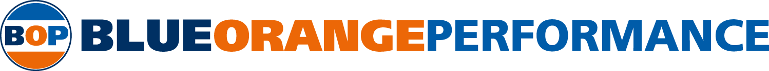 Logo Blue Orange Performance 