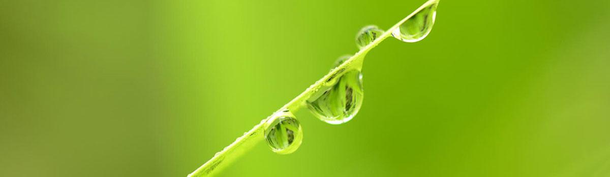 Apprendre à être sophrologue