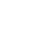 עציצים רעננים לבית ולמשרד