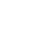 סידורי פרחים בעיצובים מיוחדים