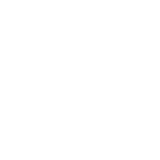 זרי ראש לכלה או לילדת יום הולדת