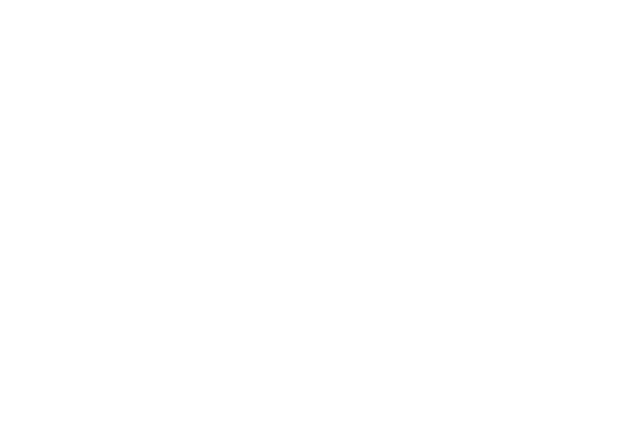 NEFERTITI footer logo