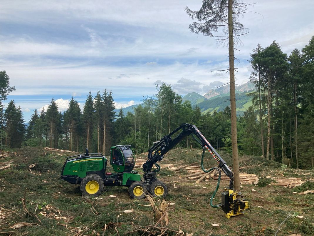 bûcheronnage - génie civil - corporation forestière
