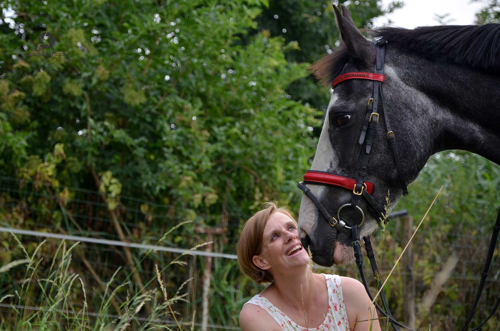 An - Paardencoach page banner