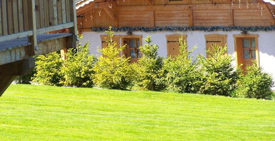 L'entreprise Garin-Laurel s'occupe de l'entretien de vos espaces verts en Savoie et Haute Savoie