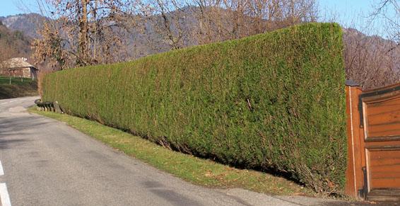 L'Entreprise Garin-Laurel vous assure la création et l'entretien de vos espaces verts