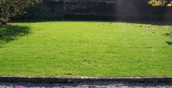 Engazonnement et création d'espaces verts à SAINT JORIOZ