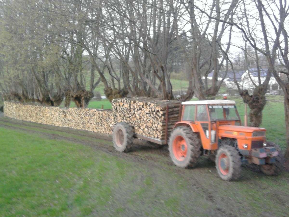 Bois De Chauffage Cambrai