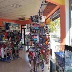 ​Centro Veterinario Villacañas​ accesorios para mascotas
