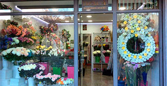 Floristería Araceli Floristería Araceli