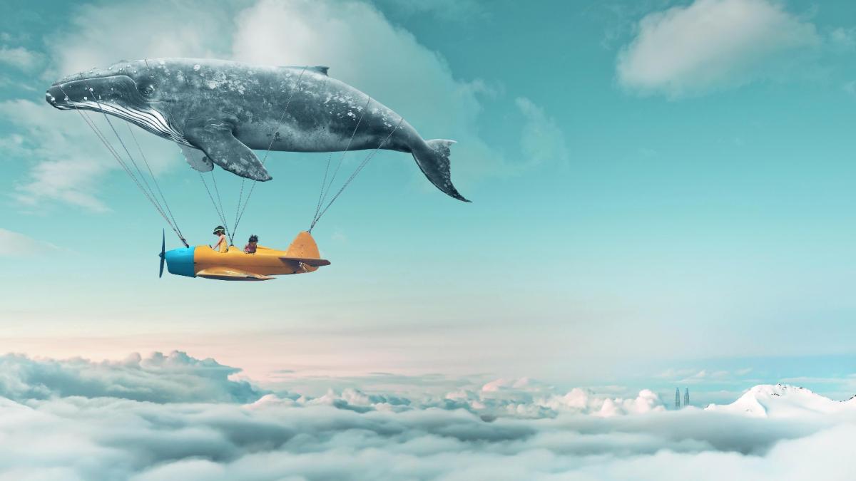 Séance d'hypnothérapie intégrative à Paris