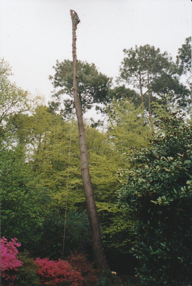 Portillon et barreaudage .