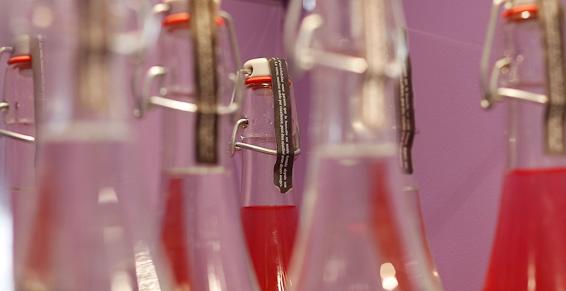 Atelier Cirasse, traiteur pour des repas selon vos envies, à Luneray