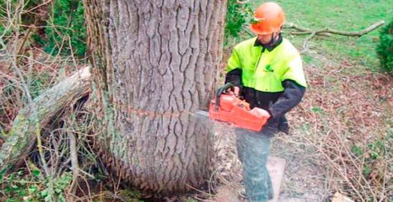 Nature Domestiquée à Saint-Josse