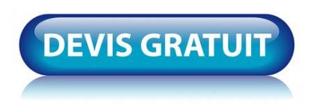 Un bouton bleu sur lequel est écrit devis gratuit