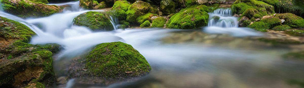 Claire Six, psychologue à Cergy et Vincennes