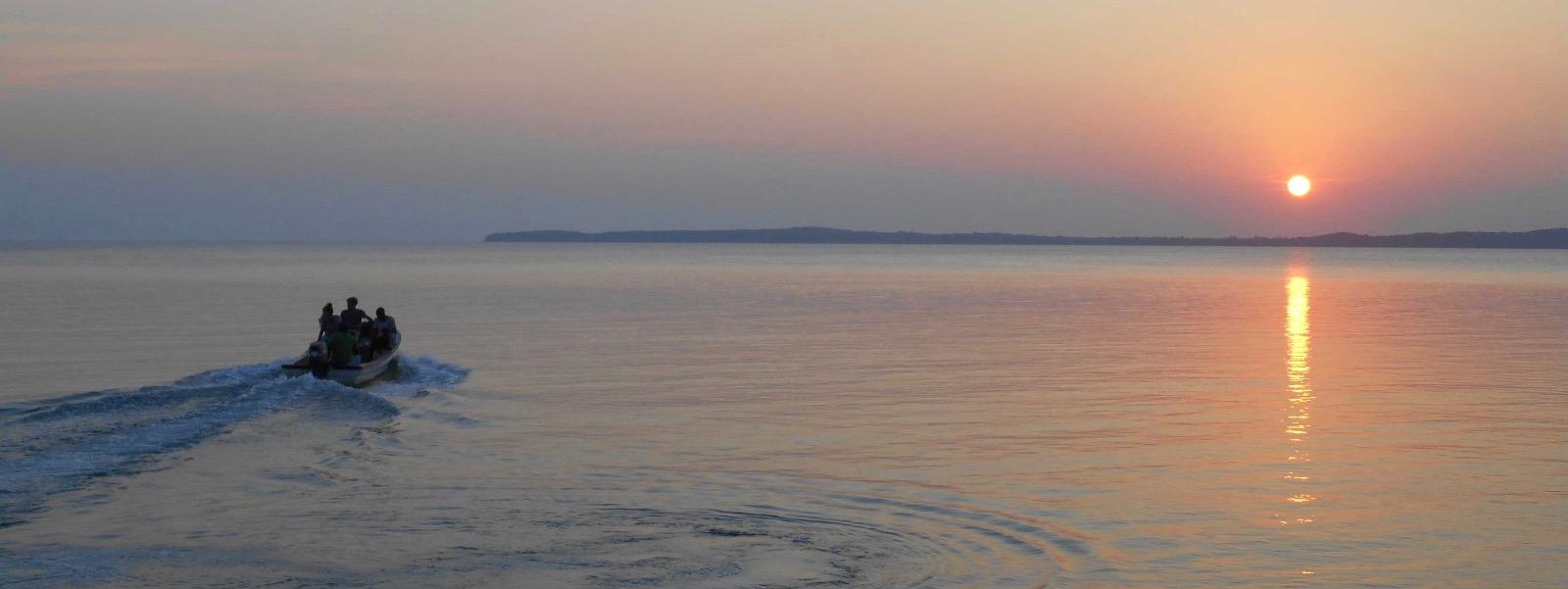 Psychothérapeute : Accompagnement des personnes