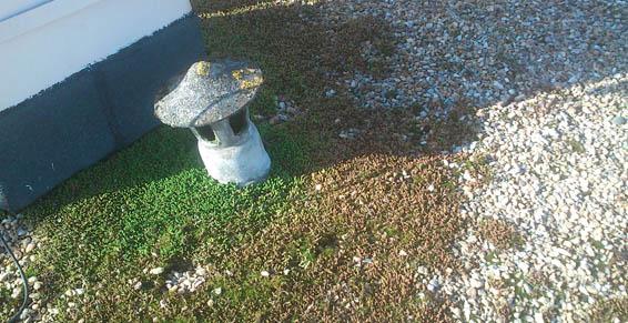 Pompage et vidange - Intervention sur réseaux à Limoges