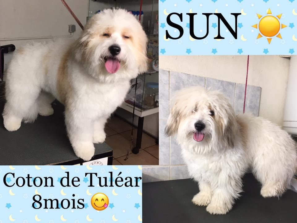 Accessoires et cosmétique