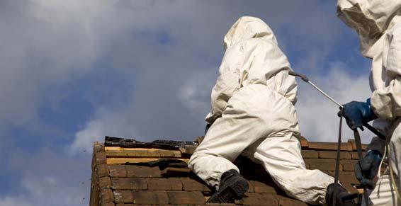 Intervention contre vos nuisibles