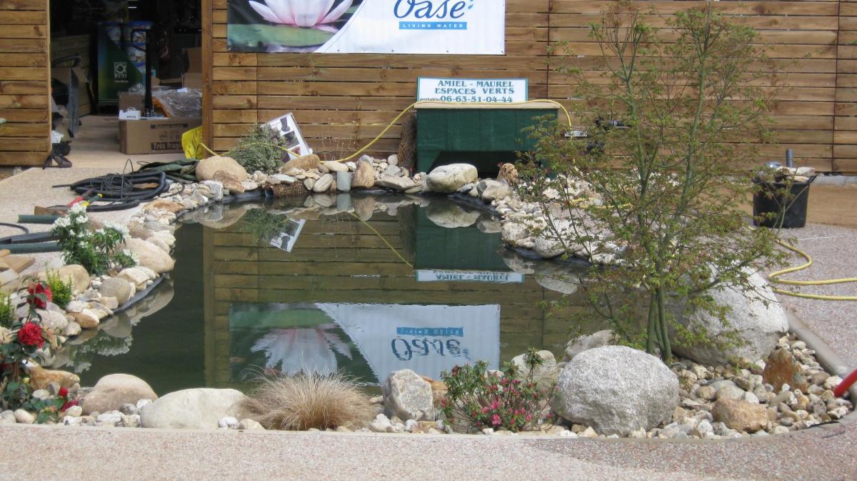 bassin a carpe koï lavaur