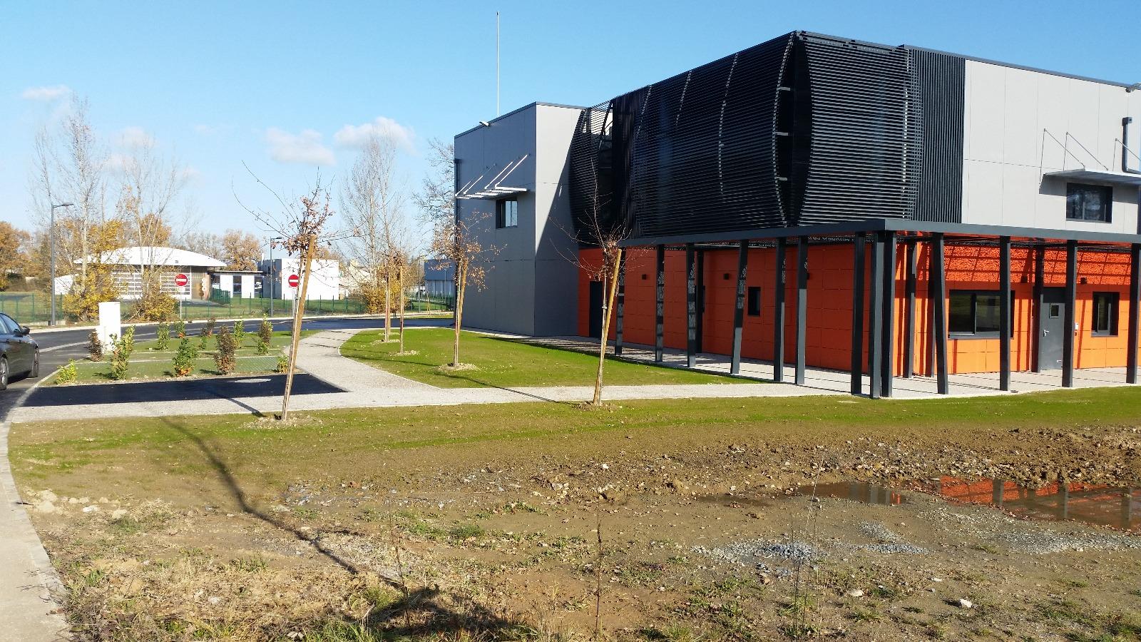 semi de  gazon et plantation d'arbres